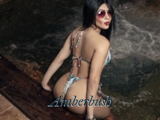 Amberbush