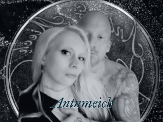 Antnmeich