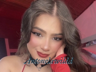Antonelawildd