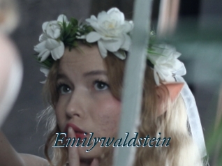 Emilywaldstein