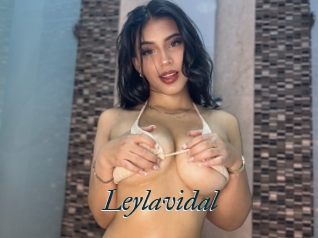Leylavidal