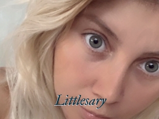 Littlesary