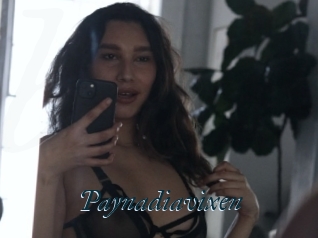 Paynadiavixen