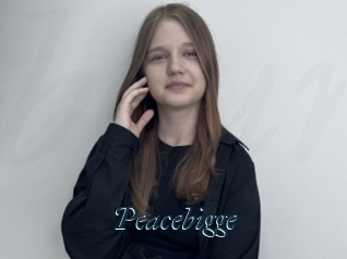 Peacebigge