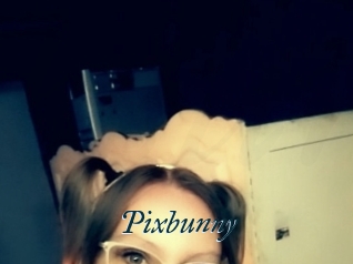Pixbunny