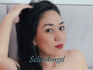 Selindongel